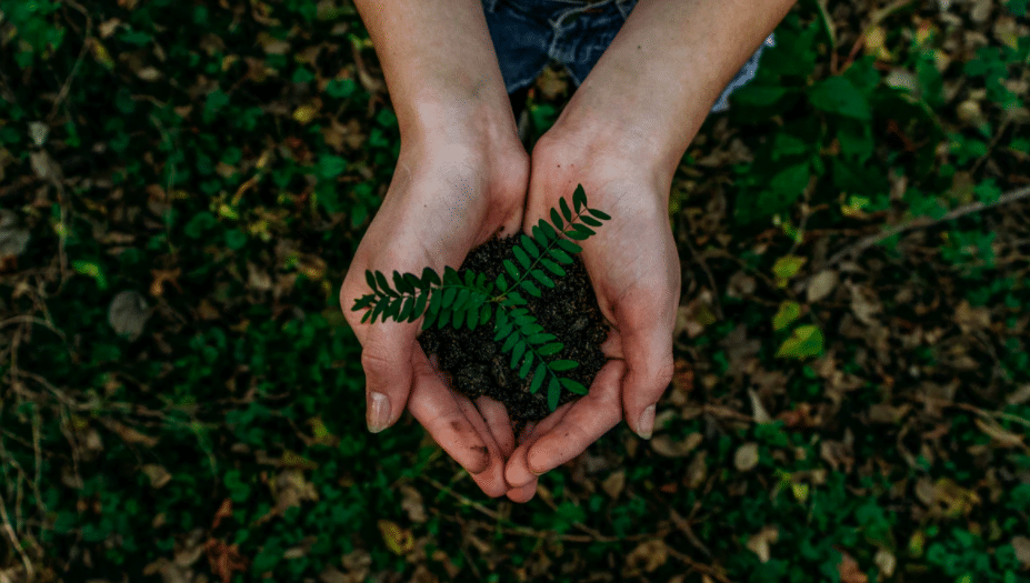 Carey Moving Celebrates Earth Day 2021 – 5 Ways to Enjoy the Outdoors